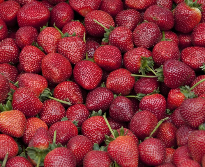 Aardbeienland 2