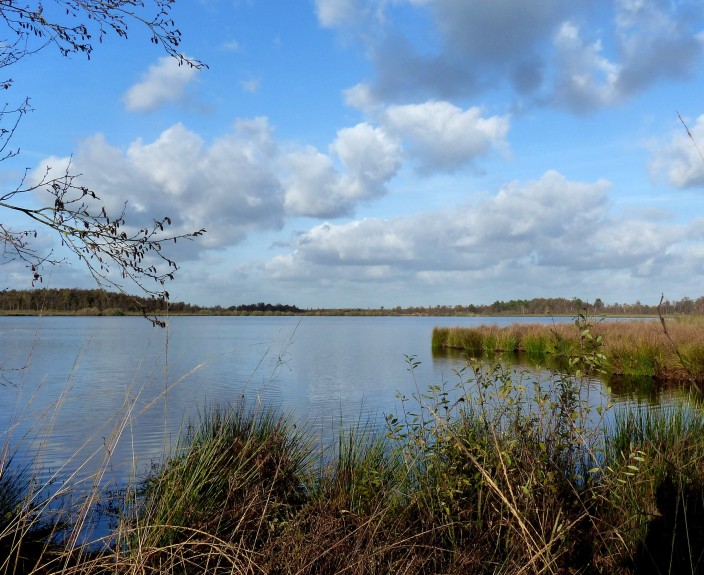 Waterplas 't Elfde-min.JPG