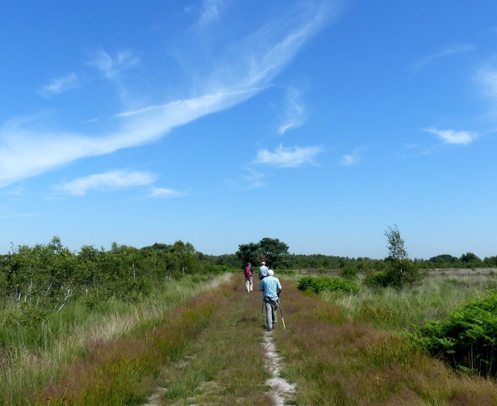 Wandelaars Peelbaan2-min.JPG