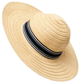 hoed
