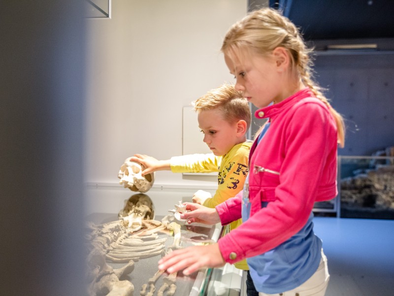 Neanderthalet tot stedeling - skelet 3-min.jpg