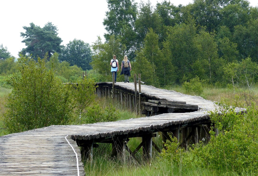 Knuppelbrug3-min.JPG