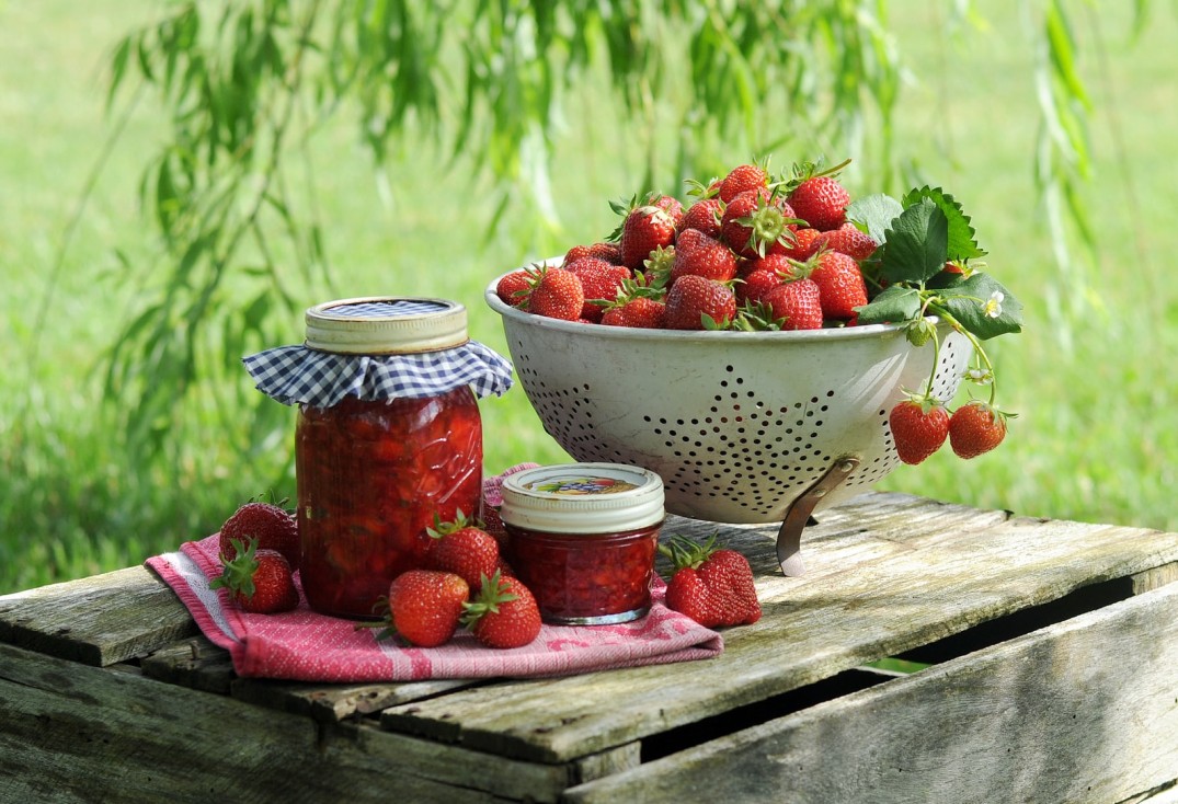 Aardbeienland